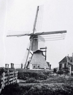 AF041EB1-2F22-4C12-A0DF-51FB8C7B533D_4_5005_c